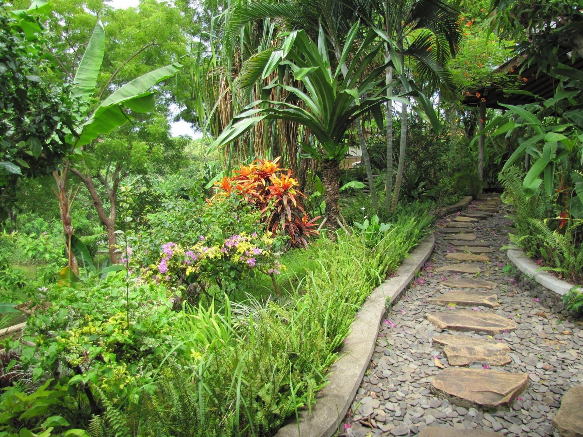 Sananda Bungalow Lovina Exterior foto